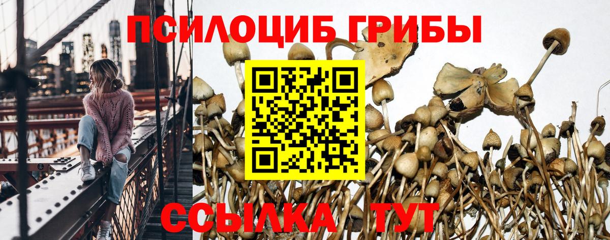 Псилоцибиновые грибы Magic Shrooms  Вход с VPN  Сибай 